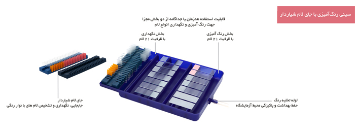 Slide Staining Tray with Slide Holder